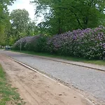 Und Rosi 아파트 *