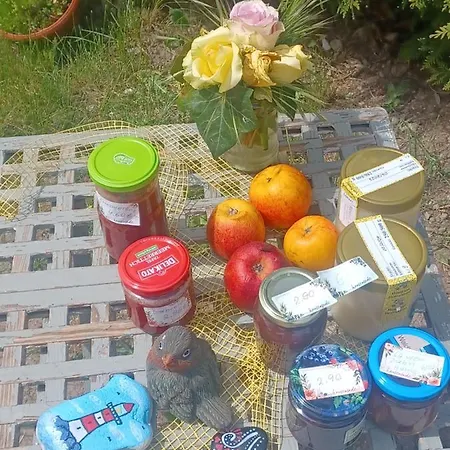 Und Rosi Apartman Krakow am See