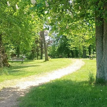 Und Rosi