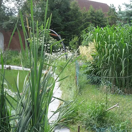 Und Rosi * 크라코프암지