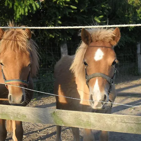 아파트 Und Rosi *