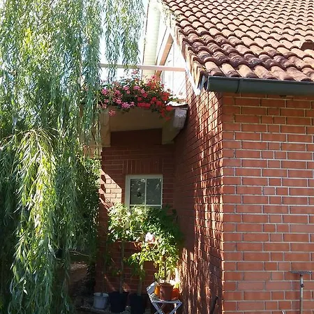 Und Rosi 크라코프암지