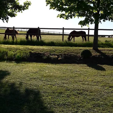 Und Rosi 크라코프암지