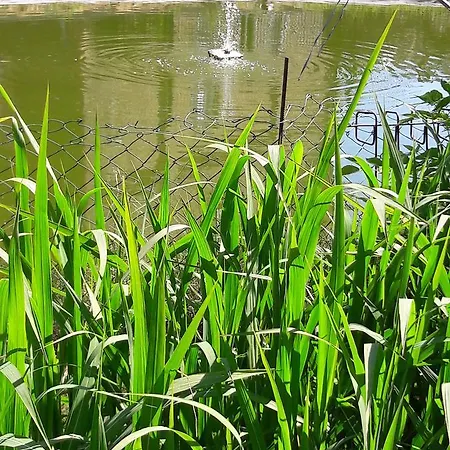 Und Rosi Apartman Krakow am See