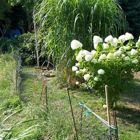 아파트 Und Rosi 크라코프암지